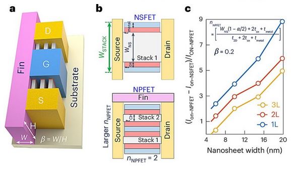 Изображение: Архитектура 2D NPFET. Источник: Nature Electronics
