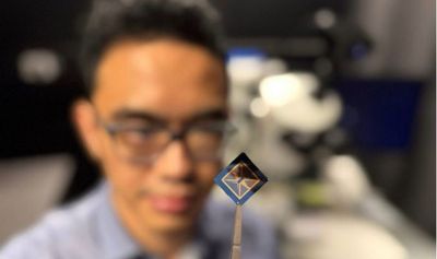 Фото: Уилл Райт, Университет RMIT