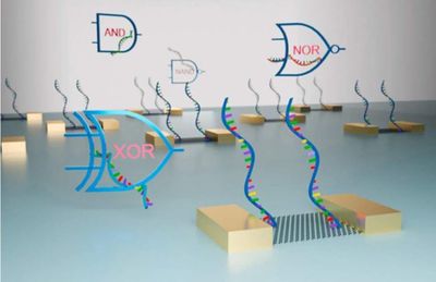 Художественное представление совмещения биомолекул и электронных чипов. Графический абстракт.