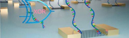 Художественное представление совмещения биомолекул и электронных чипов. Графический абстракт.